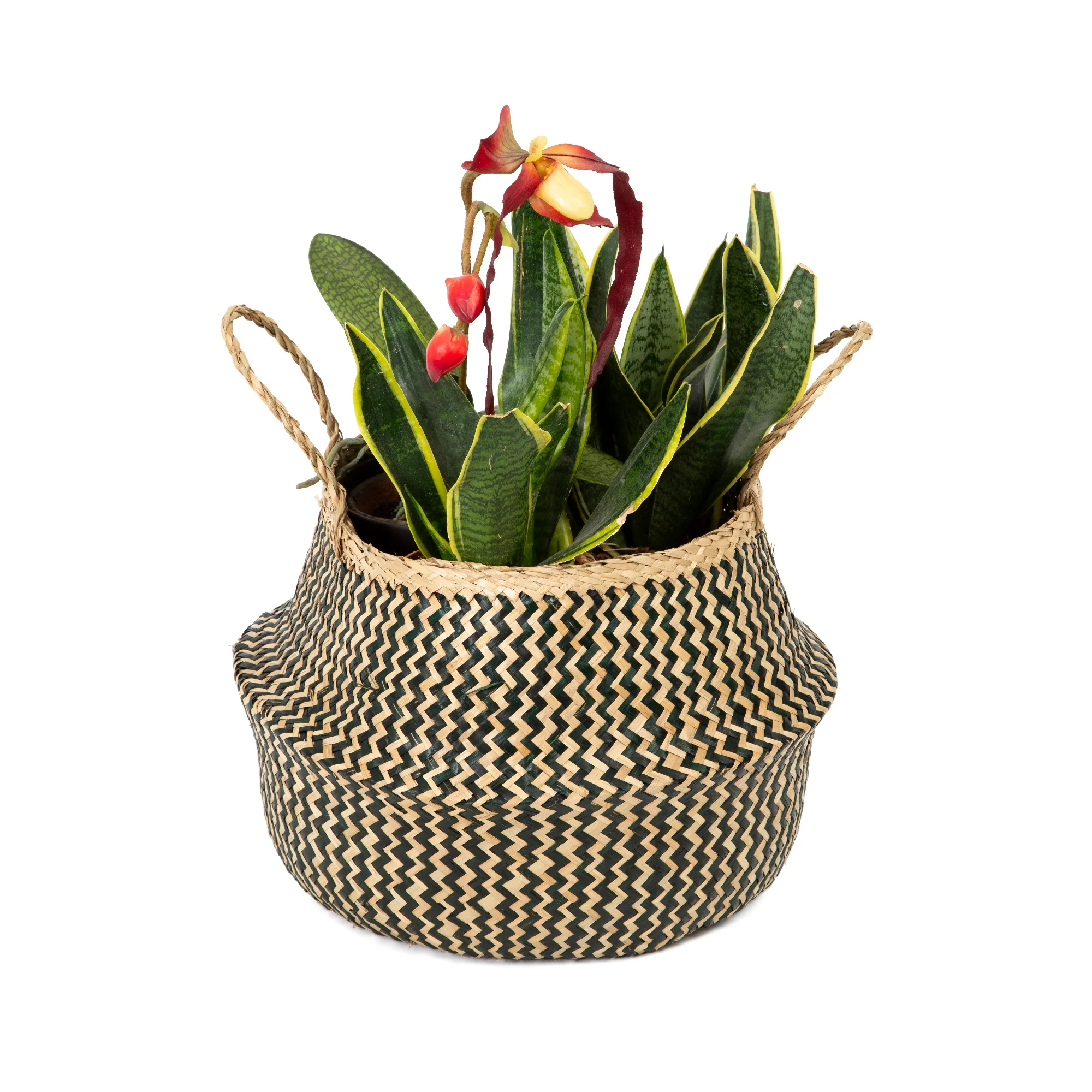 Image du produit 15